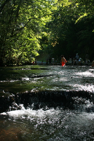 f0093592_23304211.jpg