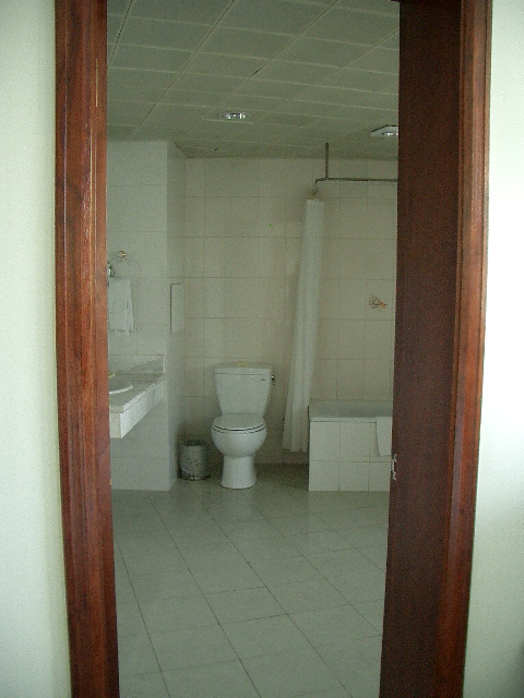 d0090300_21503023.jpg