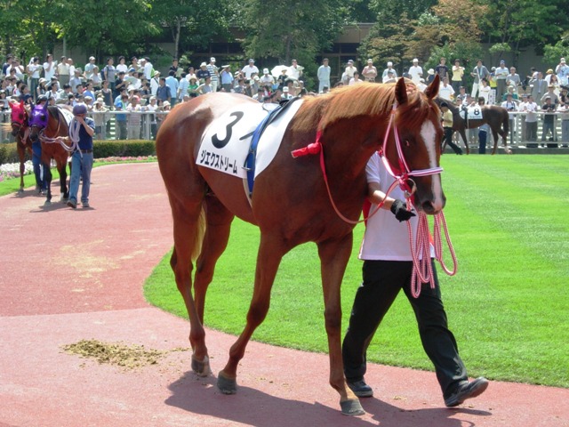 e0088402_852511.jpg