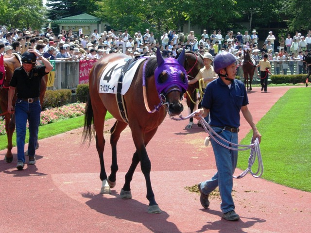 e0088402_8545450.jpg