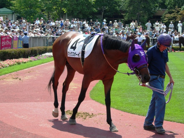 e0088402_8555713.jpg