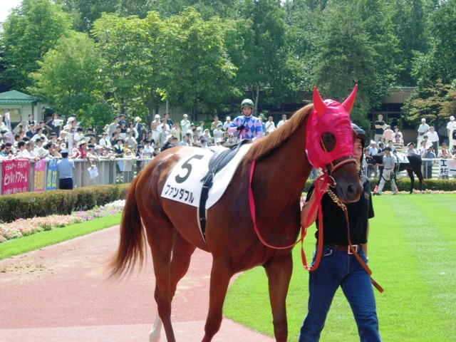 e0088402_8572711.jpg