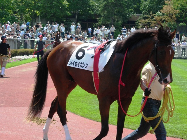 e0088402_8582083.jpg