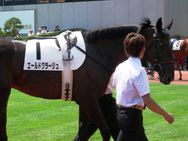 e0088402_9104574.jpg