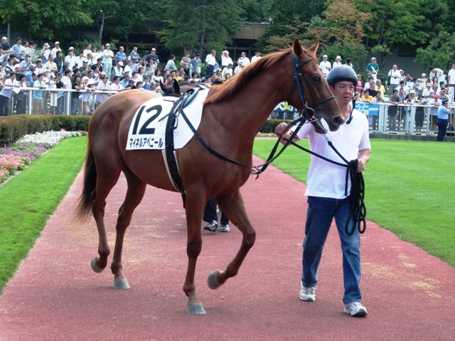 e0088402_9311366.jpg