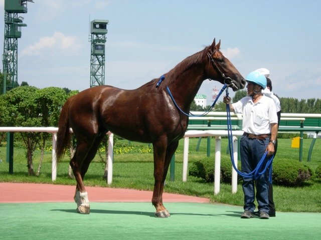 e0088402_95502.jpg