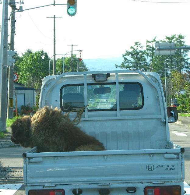 f0020302_22114593.jpg