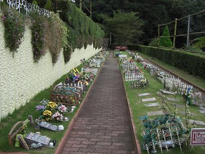 e0117503_0481862.jpg