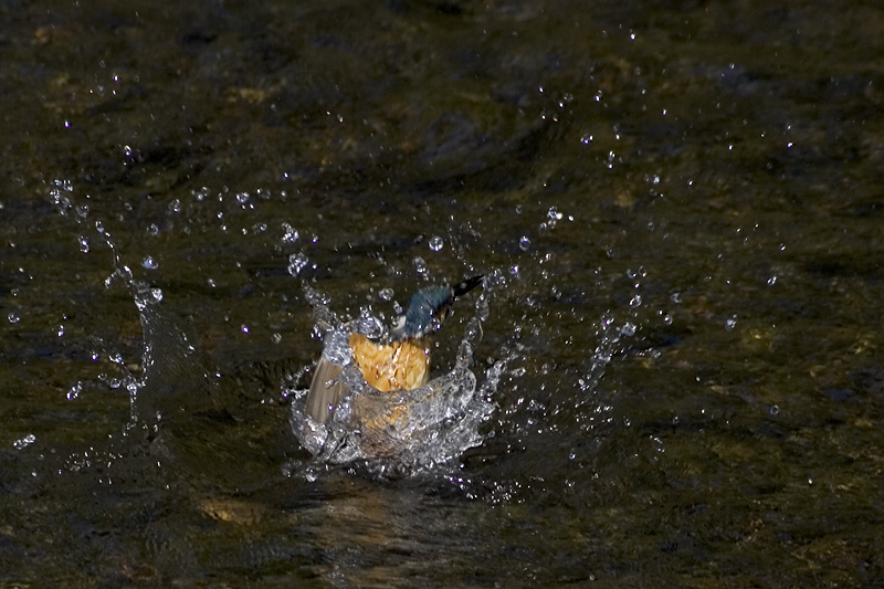 f0063403_22274438.jpg