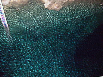 c0048004_12255029.jpg