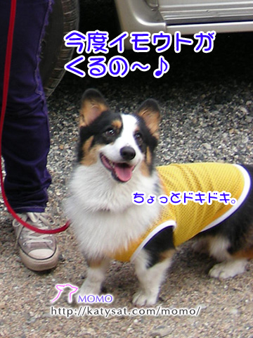 c0088708_11565420.jpg