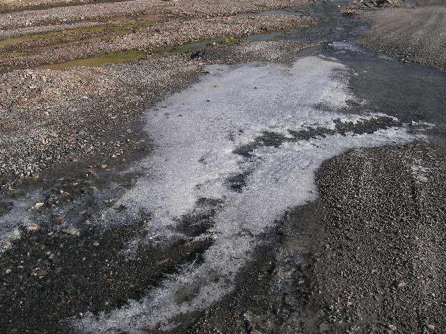 f0060811_2373654.jpg
