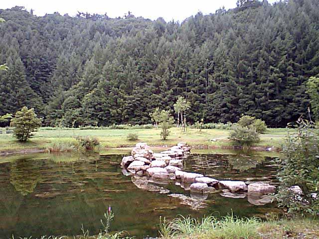 d0003116_22564769.jpg