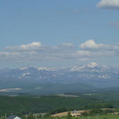c0036617_10541686.jpg