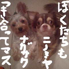 c0036617_10562536.jpg