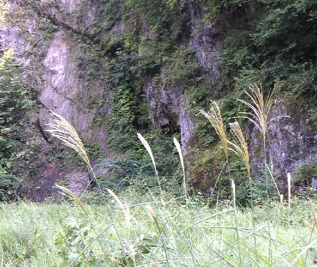 b0093221_341865.jpg