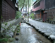 d0035823_11205542.jpg