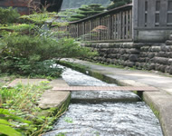 d0035823_11212850.jpg