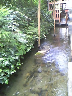 d0035823_11373488.jpg