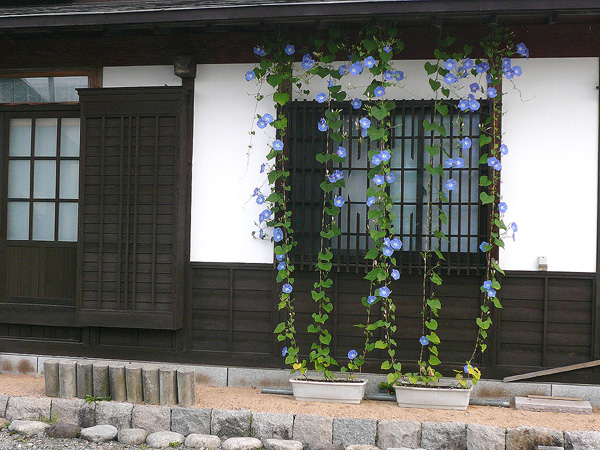 c0042324_10502553.jpg