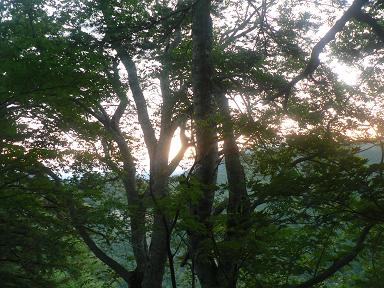 f0118332_2163881.jpg