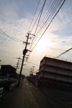 a0097735_0563467.jpg