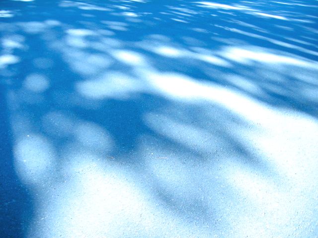 a0095337_2365594.jpg