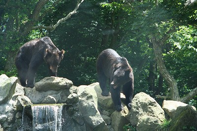 c0083439_14122999.jpg