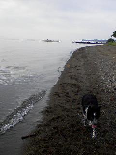 d0053940_14242417.jpg