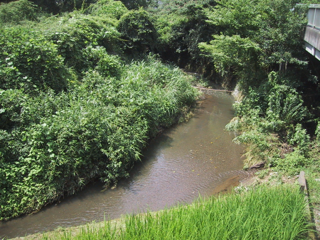 f0046250_247438.jpg