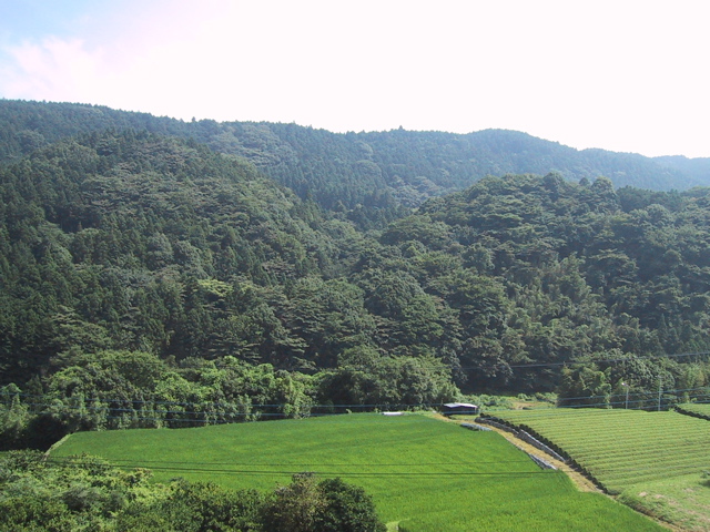 f0046250_2481074.jpg