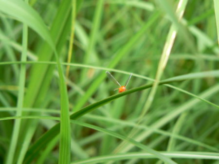 d0091754_23727100.jpg