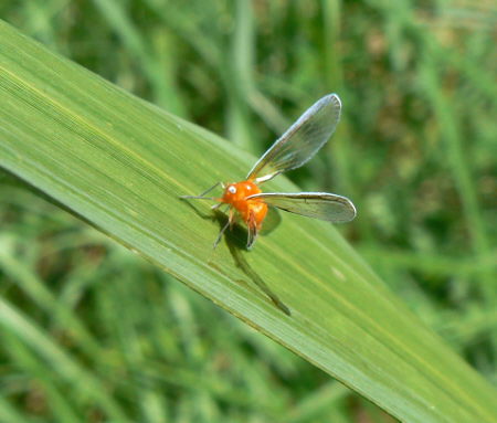 d0091754_246620.jpg