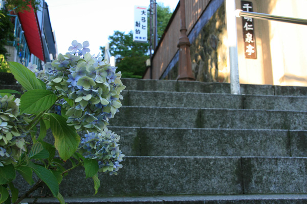 e0122855_012078.jpg