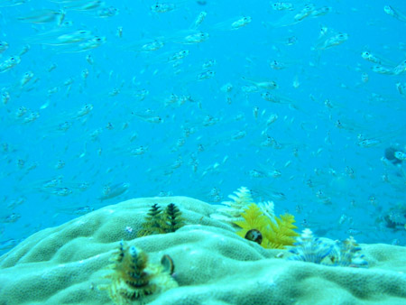 b0062363_2146497.jpg