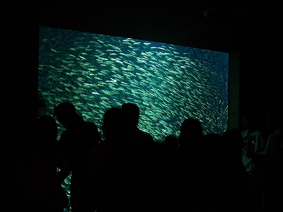 c0037164_1146938.jpg
