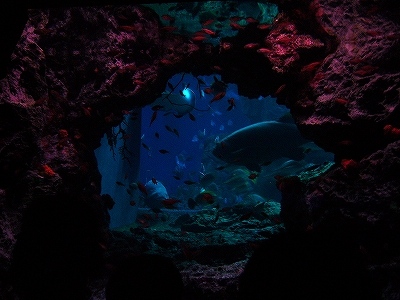 c0037164_11472596.jpg