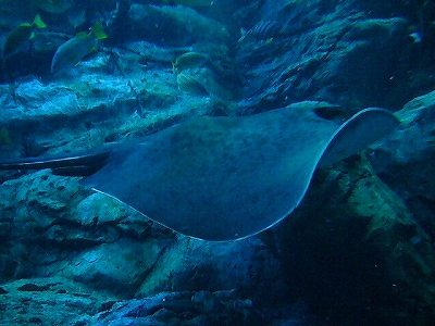 c0037164_11485228.jpg