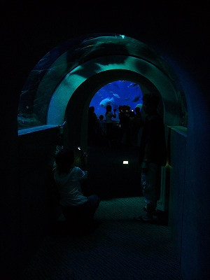 c0037164_1149568.jpg