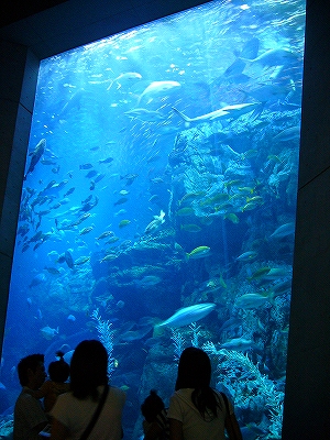 c0037164_11502795.jpg
