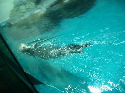 c0037164_11532274.jpg