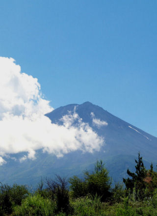 f0107364_292874.jpg
