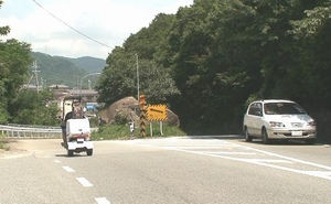 d0083265_10192517.jpg
