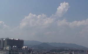d0083265_1133327.jpg