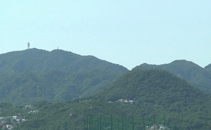 d0083265_8104523.jpg