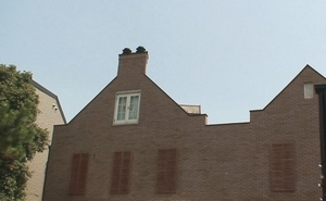 d0083265_932231.jpg