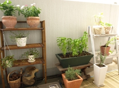 c0102268_0545933.jpg