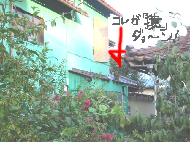 d0094868_18342183.jpg
