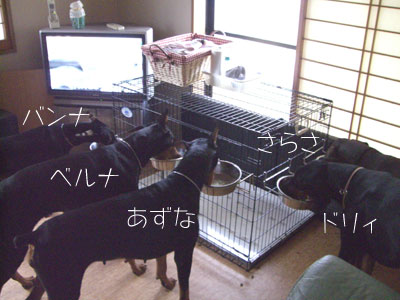 f0025769_1223597.jpg