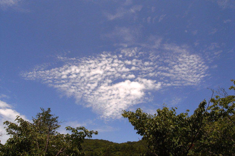e0100772_2232863.jpg